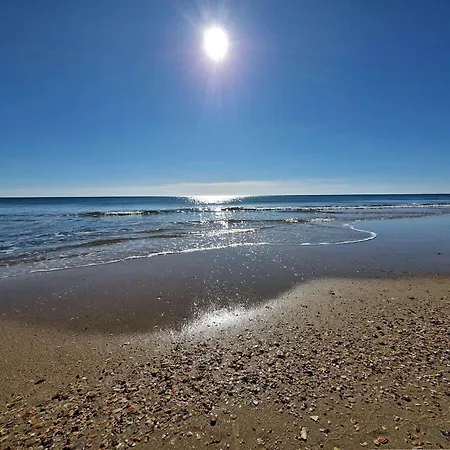T3 Au Coeur De - Fr-1-387-233 * Marseillan (Herault)